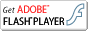 Adobe Flash Player